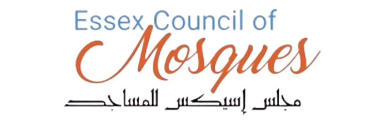 Untitled_design__11_-removebg-preview